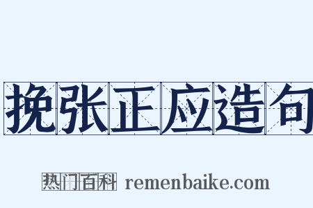 挽张正应造句是什么意思的图片